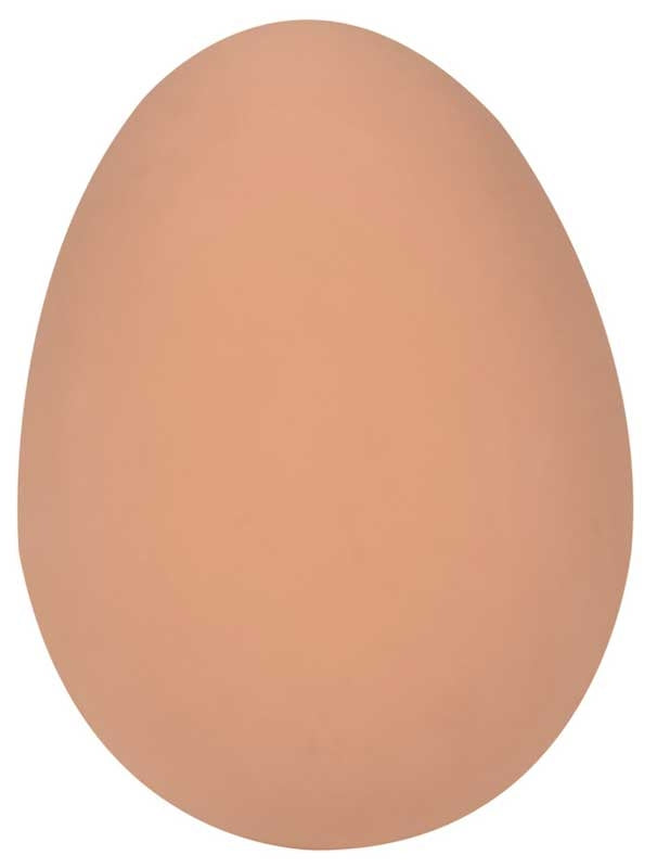 EGG BOUNCER